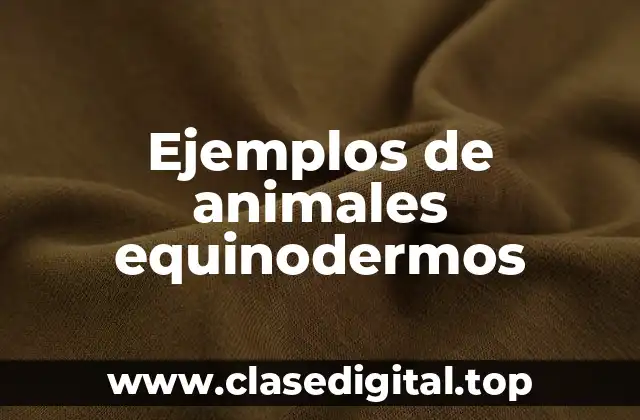 Ejemplos de animales equinodermos