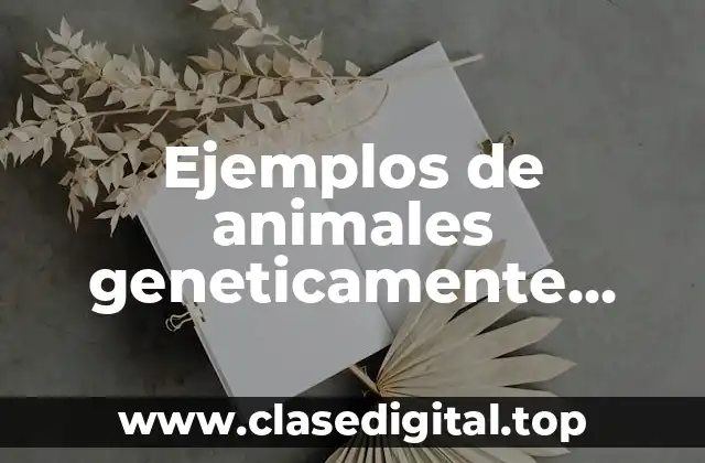 Ejemplos de animales geneticamente modificados en México y Significado