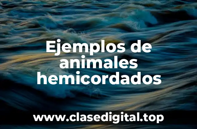 Ejemplos de animales hemicordados