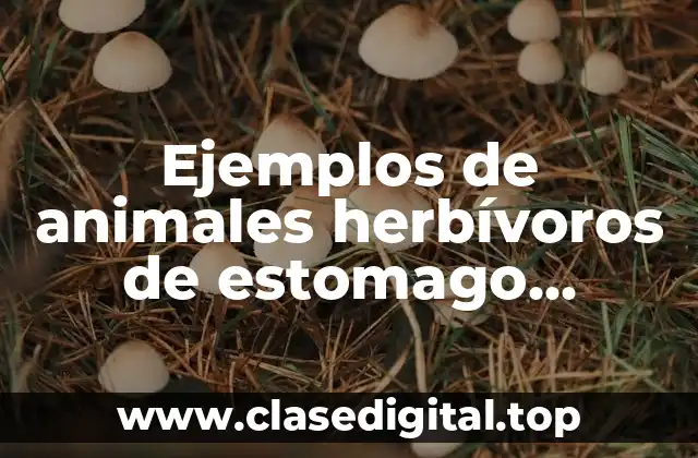 Ejemplos de animales herbívoros de estomago compuesto