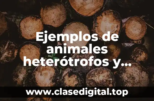 Ejemplos de animales heterótrofos y Significado