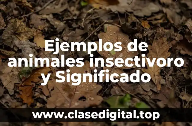 Ejemplos de animales insectivoro