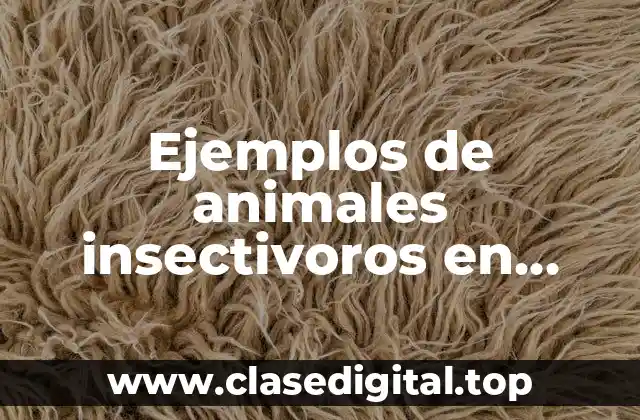 Ejemplos de animales insectivoros en México