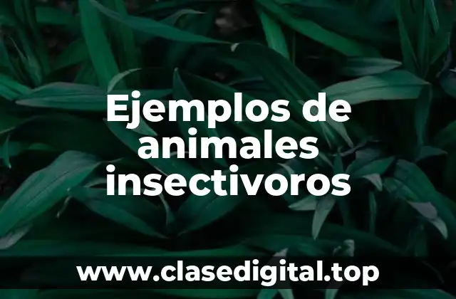 Ejemplos de animales insectivoros
