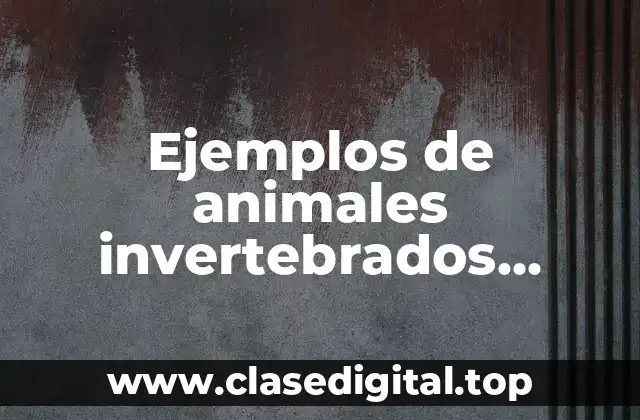 Ejemplos de animales invertebrados anelidos