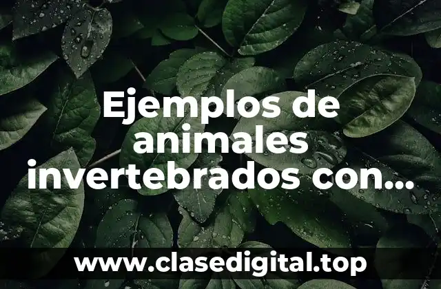 Ejemplos de animales invertebrados con exoesqueleto