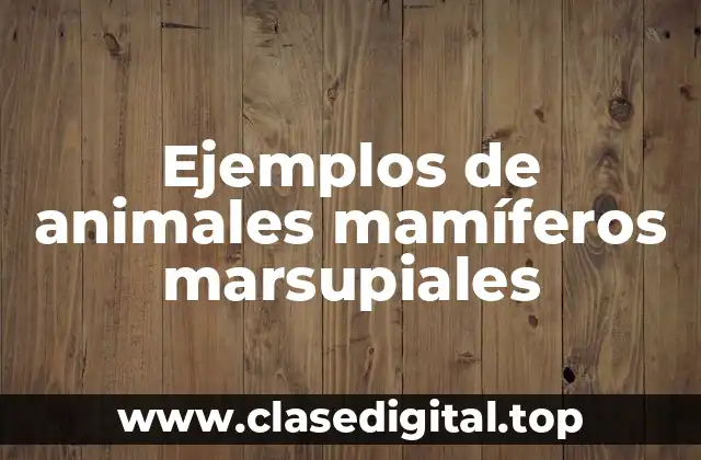 Ejemplos de animales mamíferos marsupiales