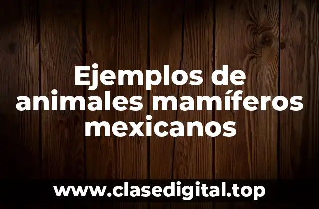 Ejemplos de animales mamíferos mexicanos
