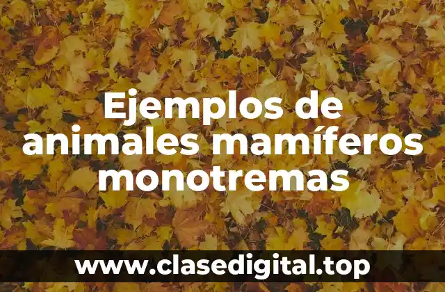 Ejemplos de animales mamíferos monotremas