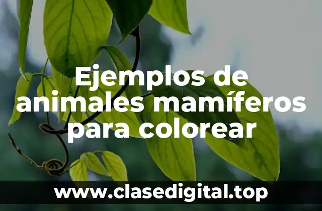 Ejemplos de animales mamíferos para colorear