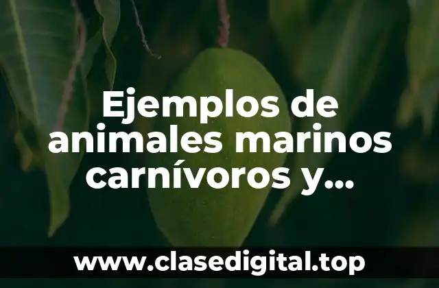 Ejemplos de animales marinos carnívoros y herbívoros
