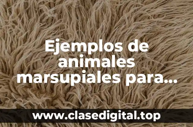 Ejemplos de animales marsupiales