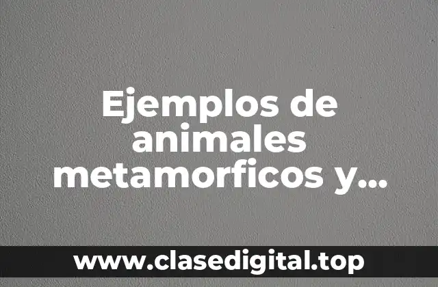 Ejemplos de animales metamorficos