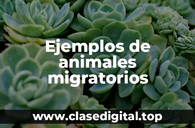 Ejemplos de animales migratorios