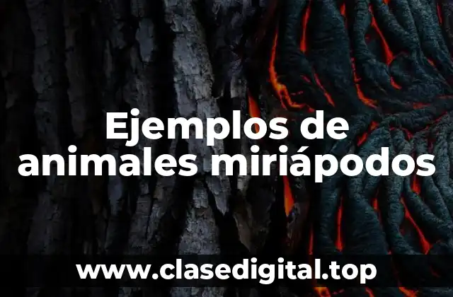 Ejemplos de animales miriápodos