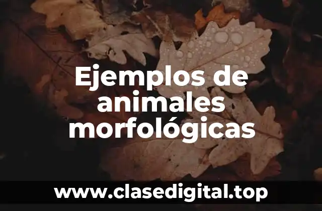 Ejemplos de animales morfológicas