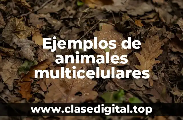 Ejemplos de animales multicelulares