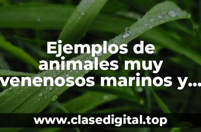Ejemplos de animales muy venenosos marinos
