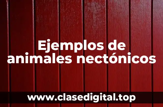 Ejemplos de animales nectónicos