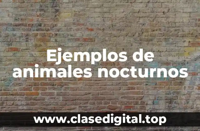 Ejemplos de animales nocturnos