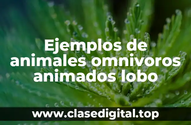 Ejemplos de animales omnivoros animados lobo