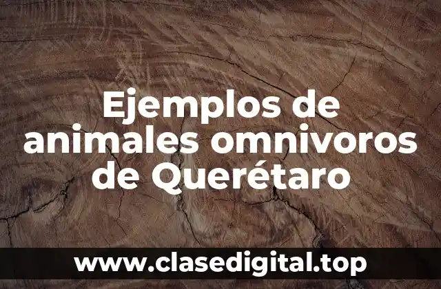 Ejemplos de animales omnivoros de Querétaro