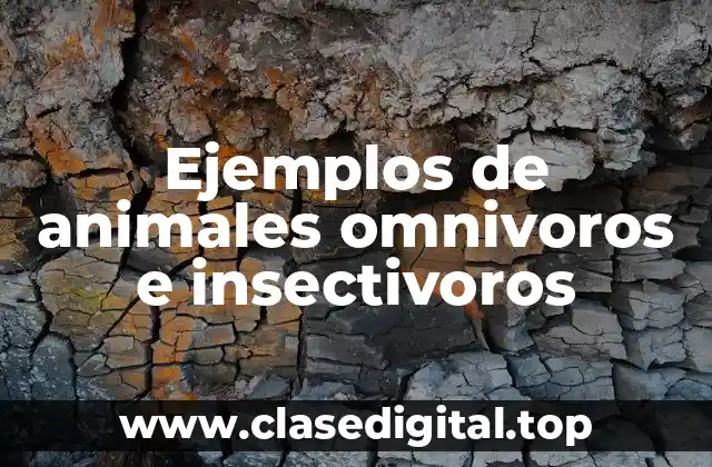 Ejemplos de animales omnivoros e insectivoros