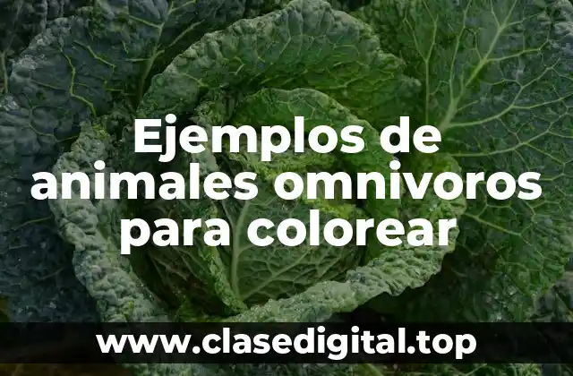 Ejemplos de animales omnivoros para colorear
