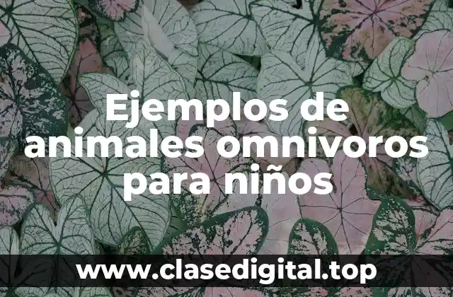 Ejemplos de animales omnivoros para niños
