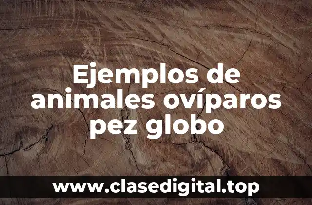 Ejemplos de animales ovíparos pez globo