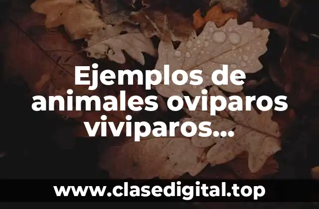 Ejemplos de animales oviparos viviparos ovoviviparos