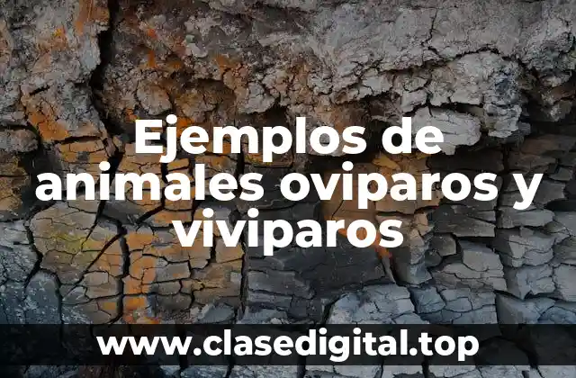 Ejemplos de animales oviparos y viviparos