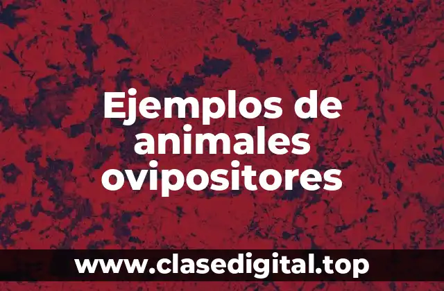 Ejemplos de animales ovipositores