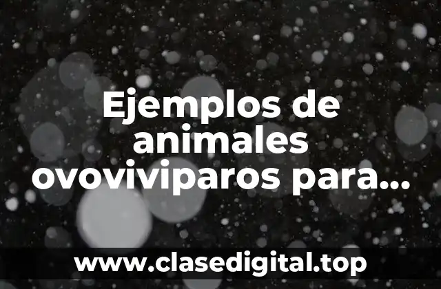 Ejemplos de animales ovoviviparos para colorear y Significado