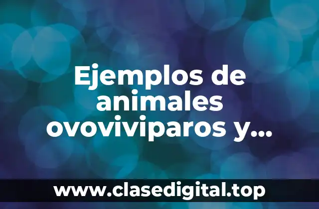 ¿Cómo se desarrollan los animales ovoviviparos y viviparos?