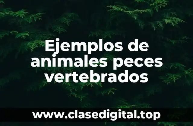 Ejemplos de animales peces vertebrados