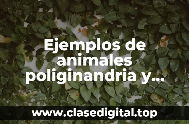 Ejemplos de animales poliginandria y Significado