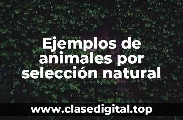 Ejemplos de animales por selección natural