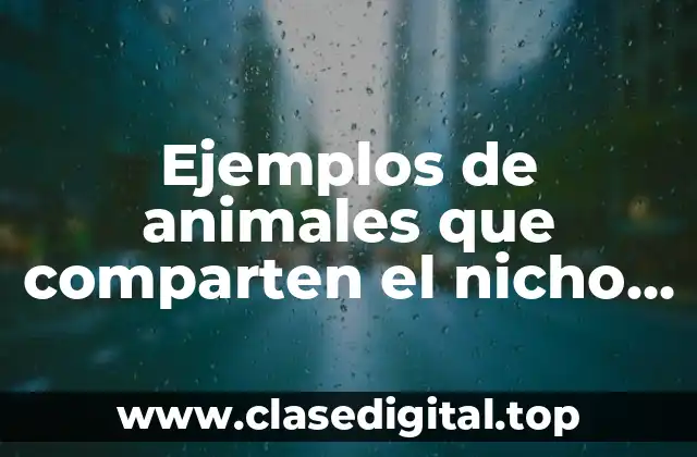 Ejemplos de animales que comparten el nicho ecológico y Significado