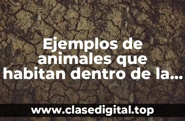 Ejemplos de animales que habitan dentro de la sabana