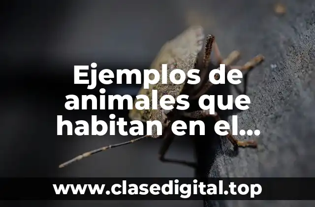 Ejemplos de animales que habitan en el ecosistema terrestre