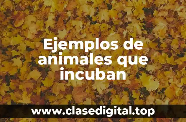 Ejemplos de animales que incuban