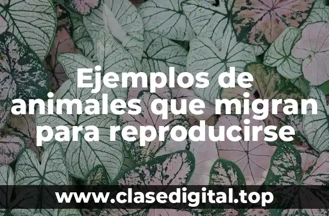 Ejemplos de animales que migran para reproducirse