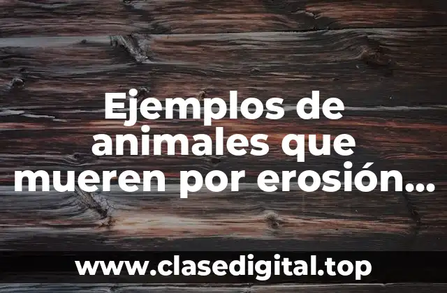 Ejemplos de animales que mueren por erosión por la basura y Significado
