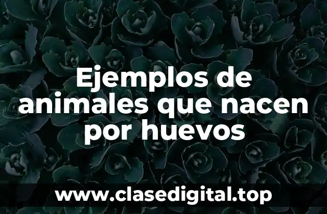 Ejemplos de animales que nacen por huevos