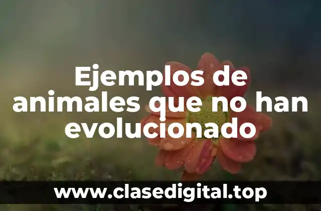 Ejemplos de animales que no han evolucionado