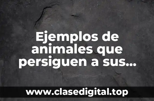 Ejemplos de animales que persiguen a sus presas