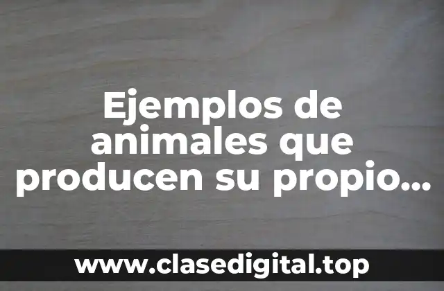 Ejemplos de animales que producen su propio alimento y Significado