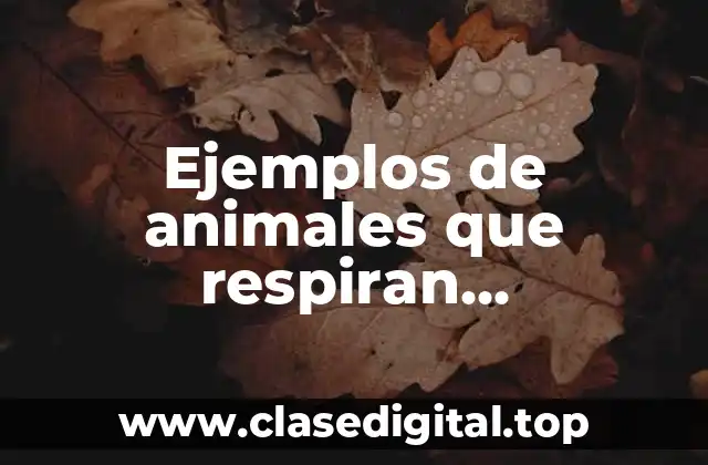 Ejemplos de animales que respiran anaerobicamente