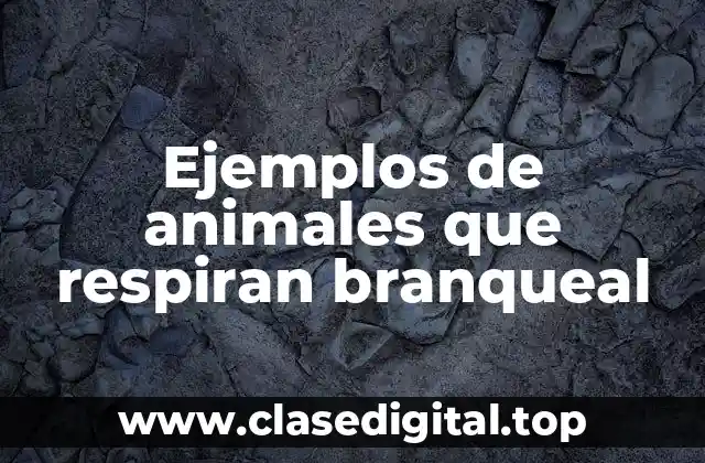 Ejemplos de animales que respiran branqueal